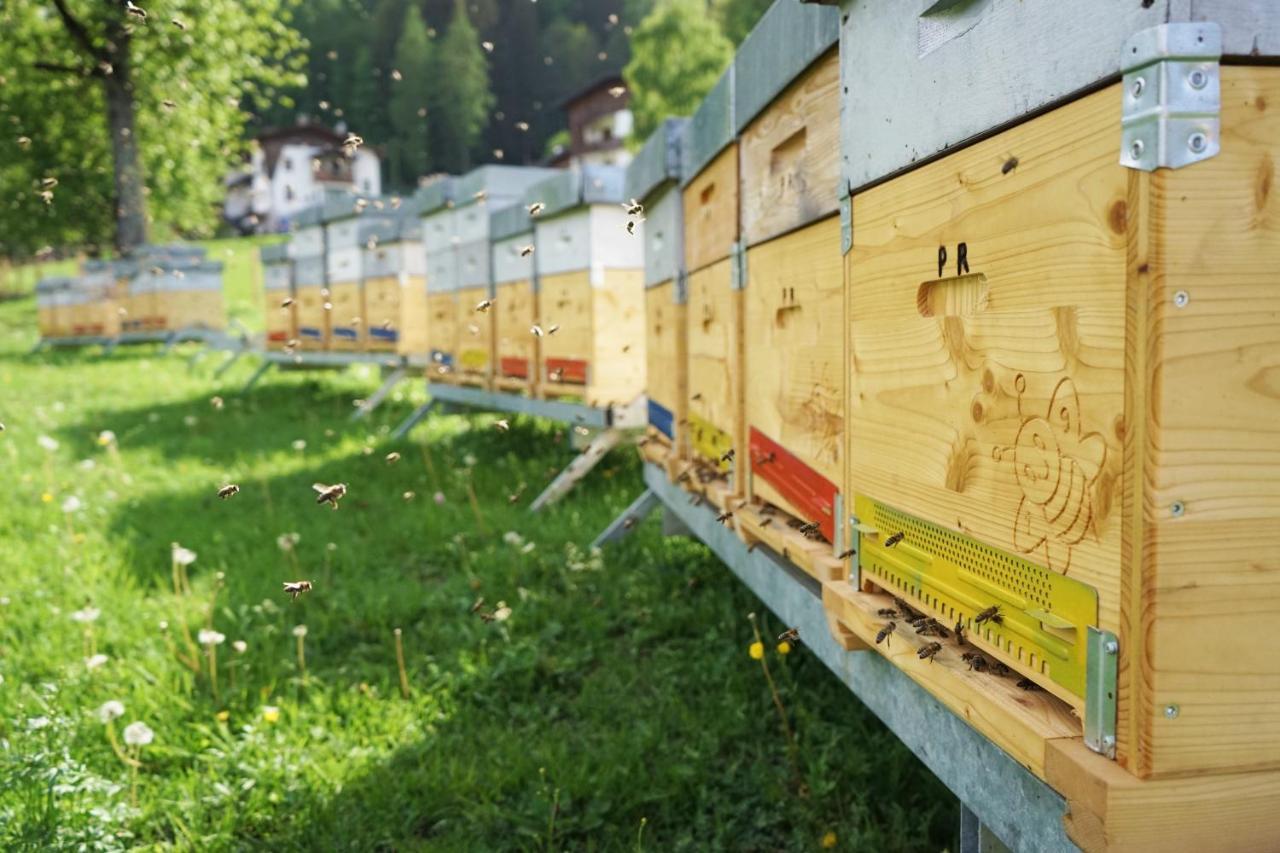 La Sloda Forno di Zoldo Zewnętrze zdjęcie